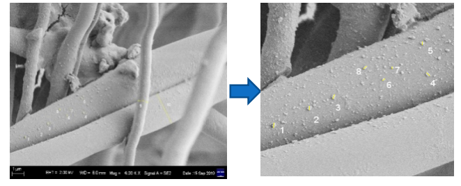 Nanocatalyst-impregnation-technology